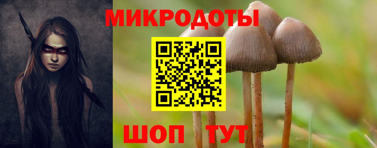 цена наркотик  Псилоцибиновые грибы Magic Shrooms  Псилоцибиновые грибы GOLDEN TEACHER  Вход с VPN  Артём 